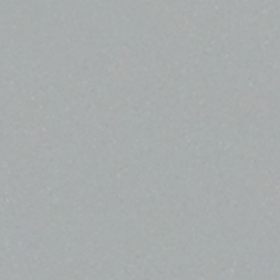 Desert Gray