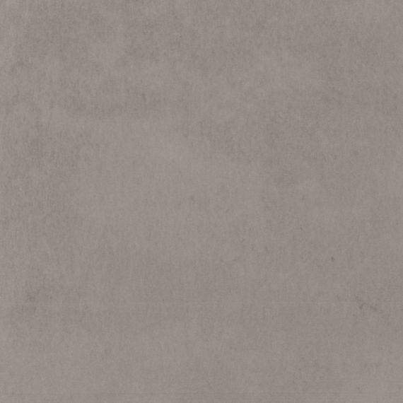 Ash Grey