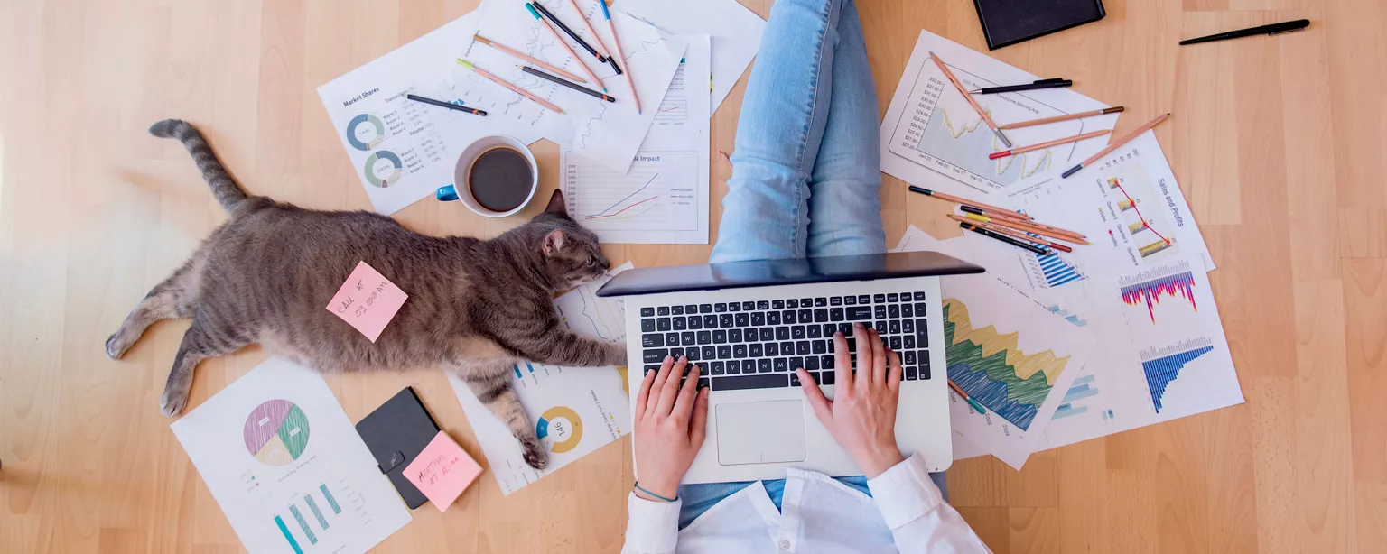 Person working from home on a laptop, surrounded by charts, graphs, pencils and coffee, with a cat lying nearby.