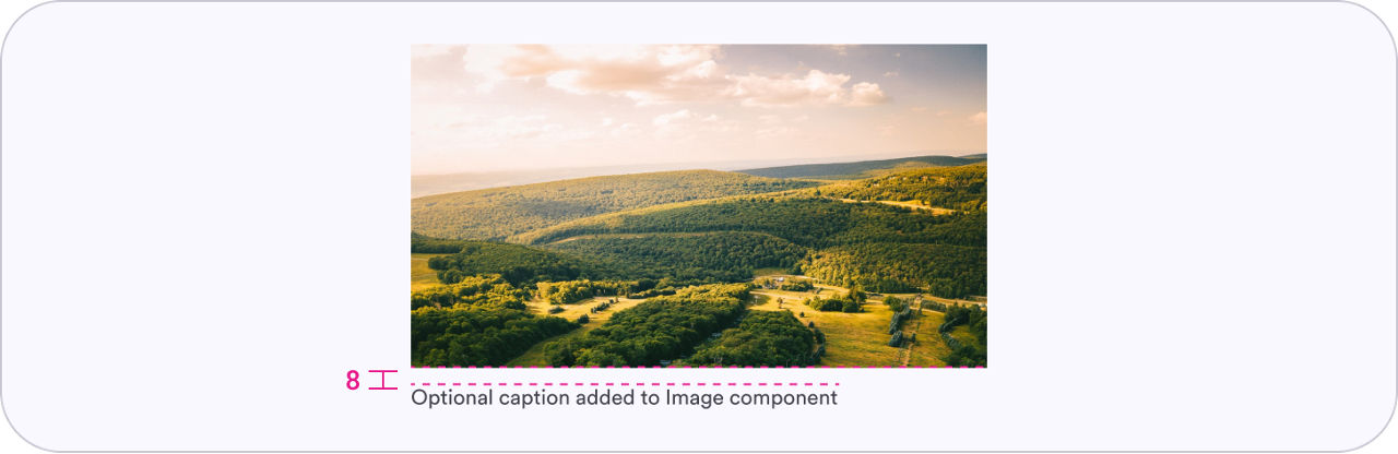 An illustration of 8px of padding between an image and its caption